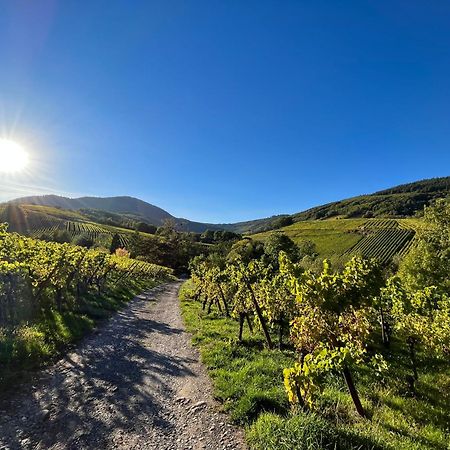 Chambre Du Vigneron - Domaine Leon Bleesz Reichsfeld Exteriér fotografie
