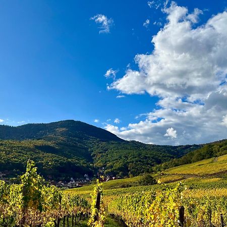 Chambre Du Vigneron - Domaine Leon Bleesz Reichsfeld Exteriér fotografie