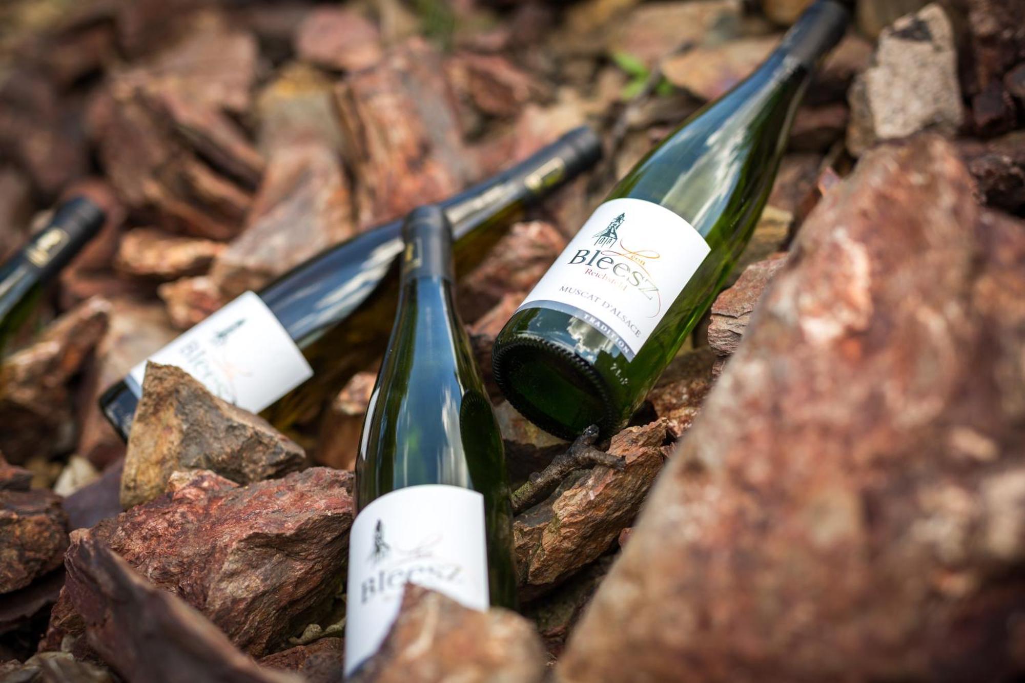 Chambre Du Vigneron - Domaine Leon Bleesz Reichsfeld Exteriér fotografie